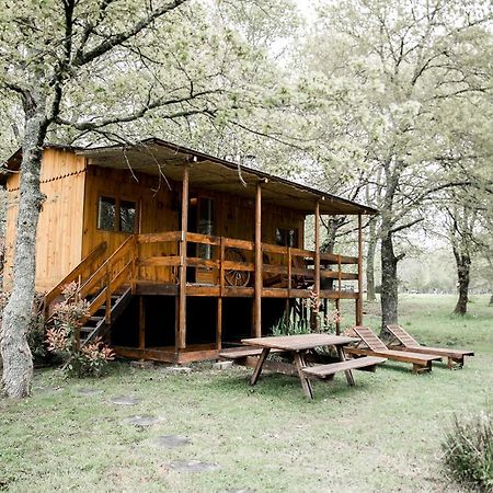 Saint-Paul-en-Born Le Ranch Amadeus B&B 외부 사진