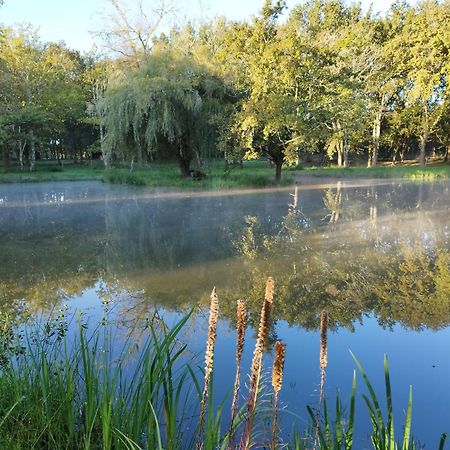 Saint-Paul-en-Born Le Ranch Amadeus B&B 외부 사진