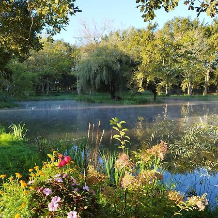 Saint-Paul-en-Born Le Ranch Amadeus B&B 외부 사진