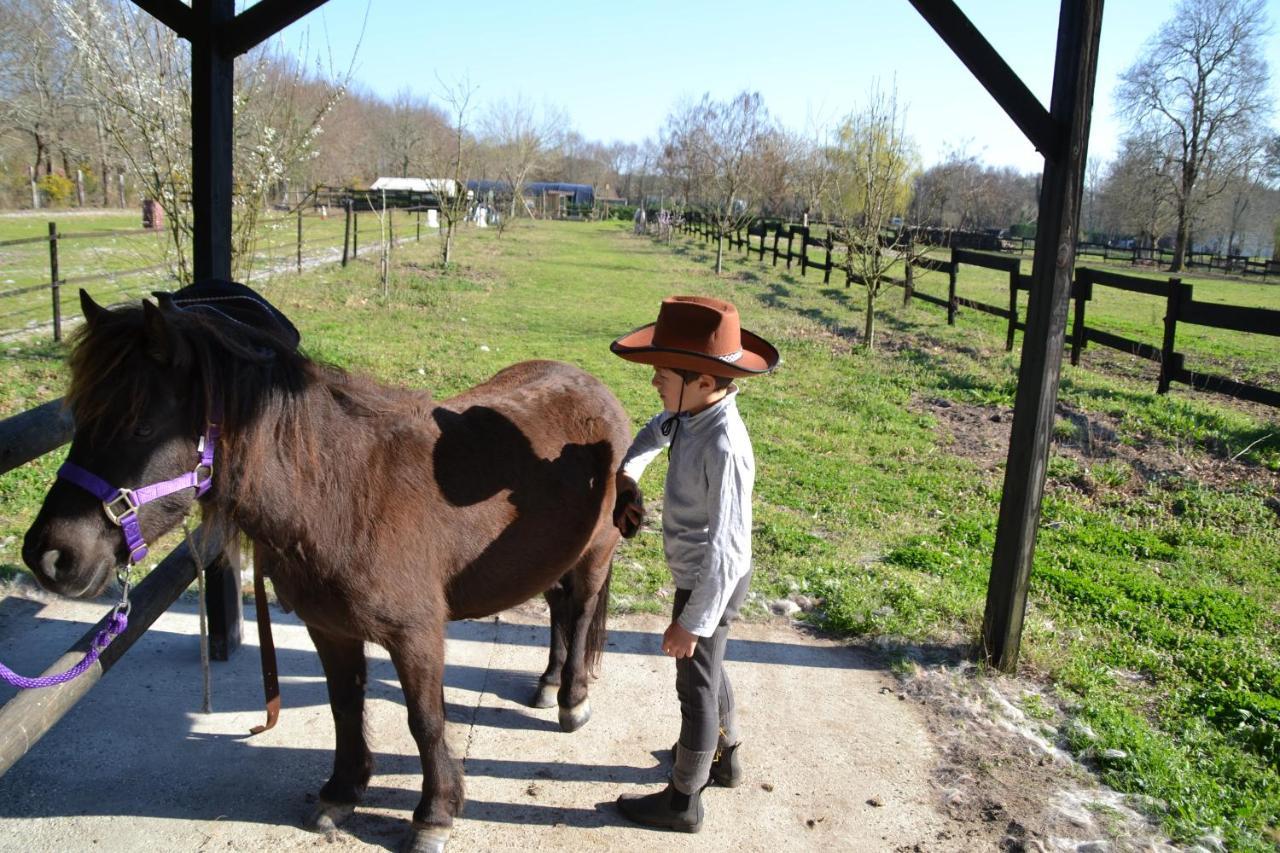 Saint-Paul-en-Born Le Ranch Amadeus B&B 외부 사진