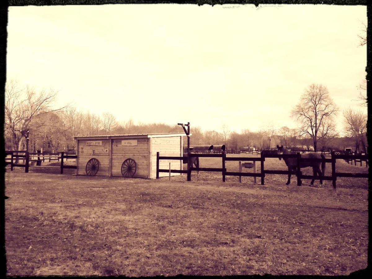 Saint-Paul-en-Born Le Ranch Amadeus B&B 외부 사진