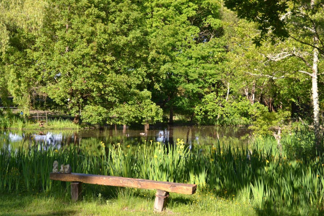 Saint-Paul-en-Born Le Ranch Amadeus B&B 외부 사진