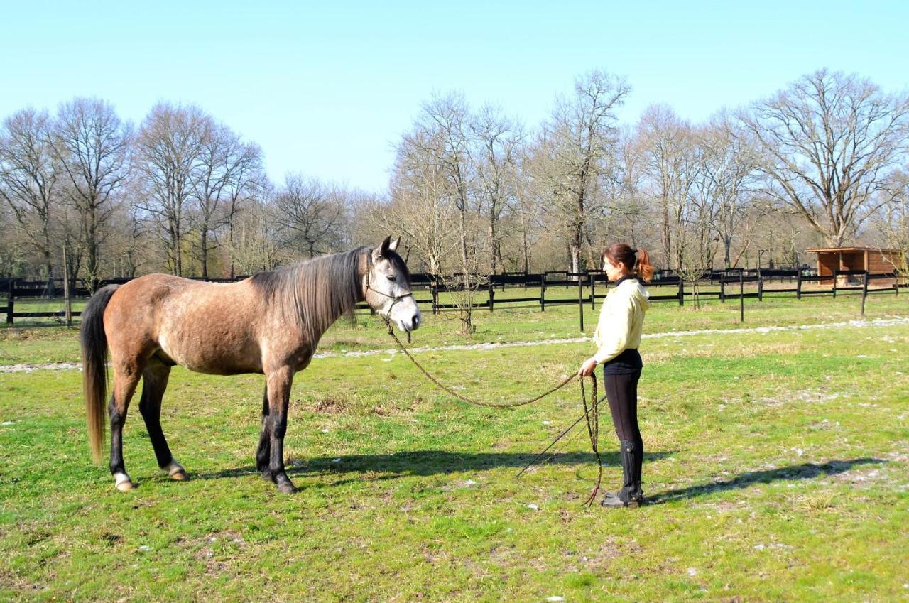 Saint-Paul-en-Born Le Ranch Amadeus B&B 외부 사진