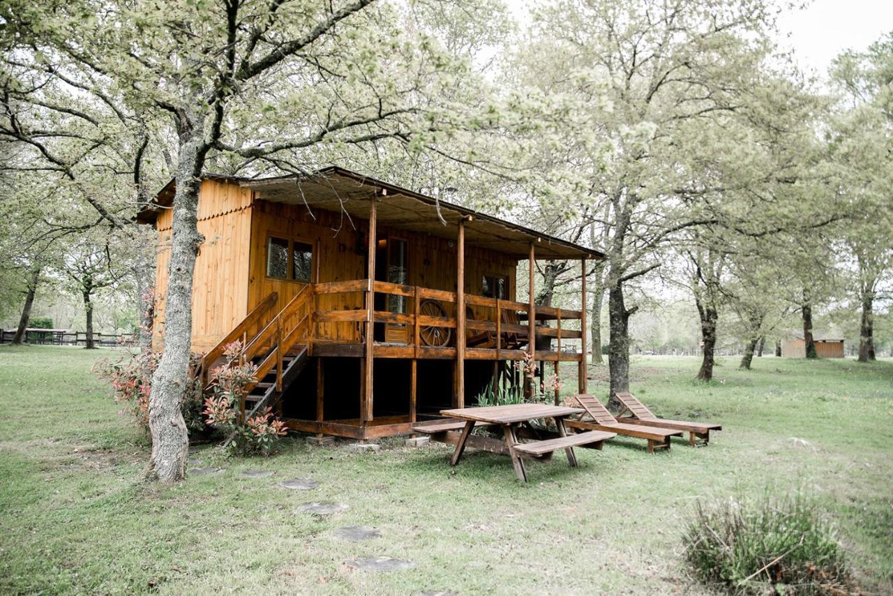 Saint-Paul-en-Born Le Ranch Amadeus B&B 외부 사진