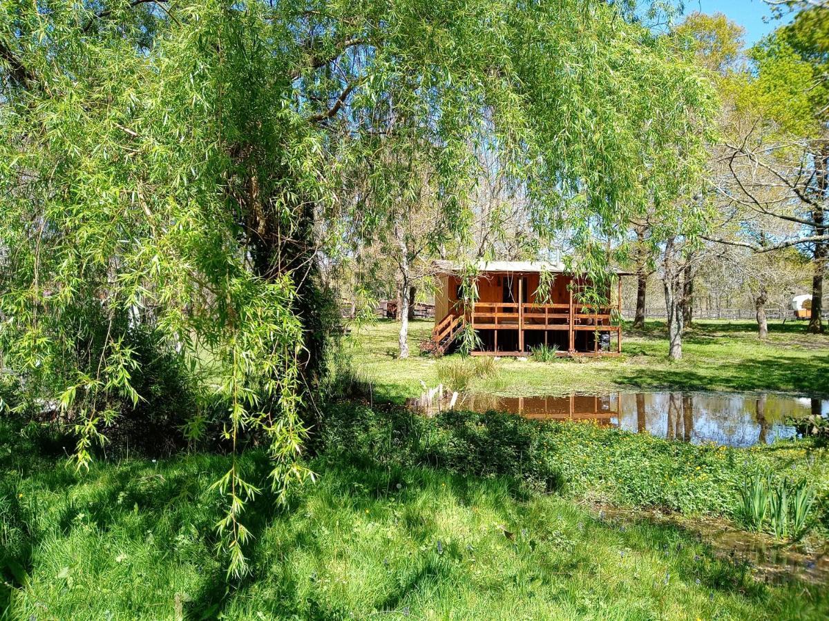 Saint-Paul-en-Born Le Ranch Amadeus B&B 외부 사진