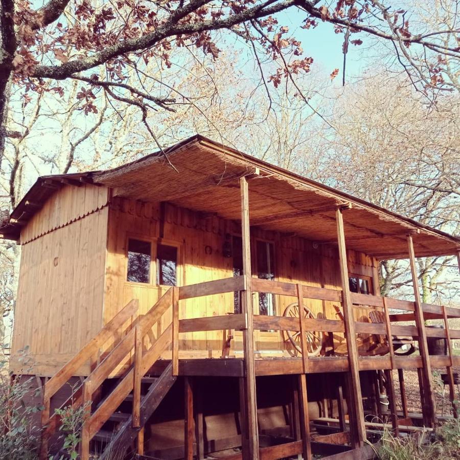 Saint-Paul-en-Born Le Ranch Amadeus B&B 외부 사진