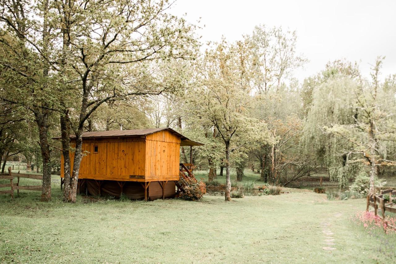 Saint-Paul-en-Born Le Ranch Amadeus B&B 외부 사진