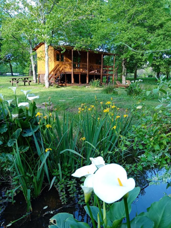 Saint-Paul-en-Born Le Ranch Amadeus B&B 외부 사진