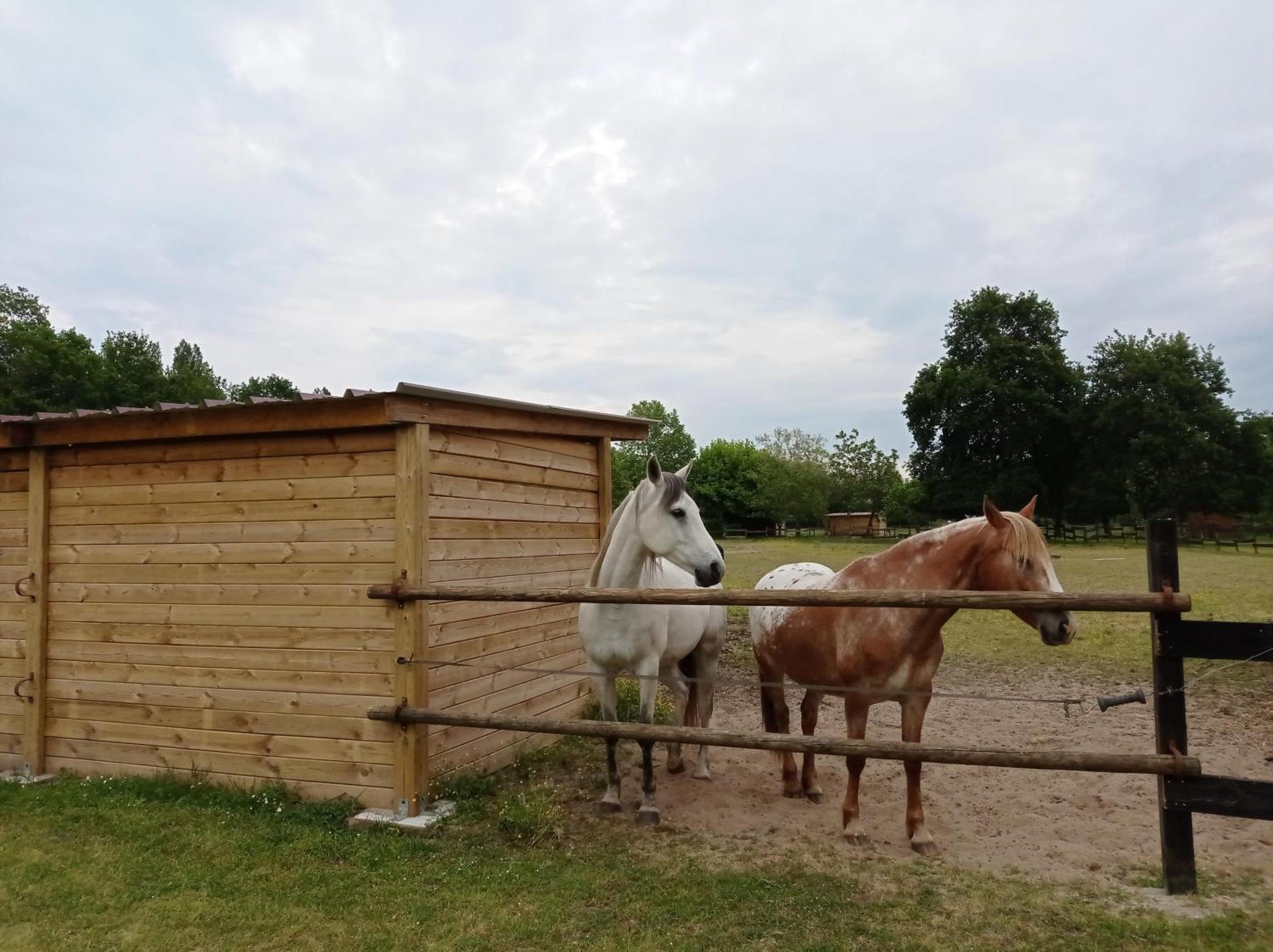 Saint-Paul-en-Born Le Ranch Amadeus B&B 외부 사진