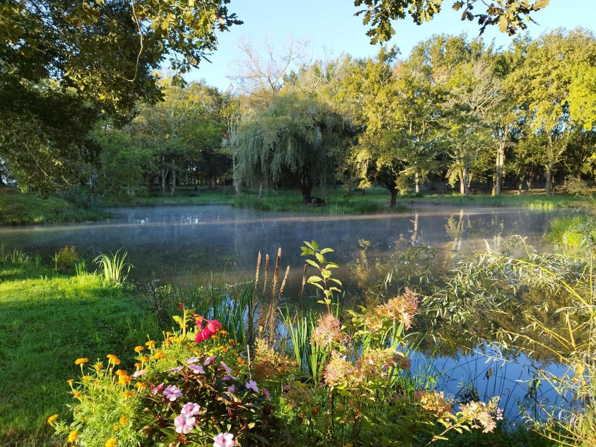 Saint-Paul-en-Born Le Ranch Amadeus B&B 외부 사진