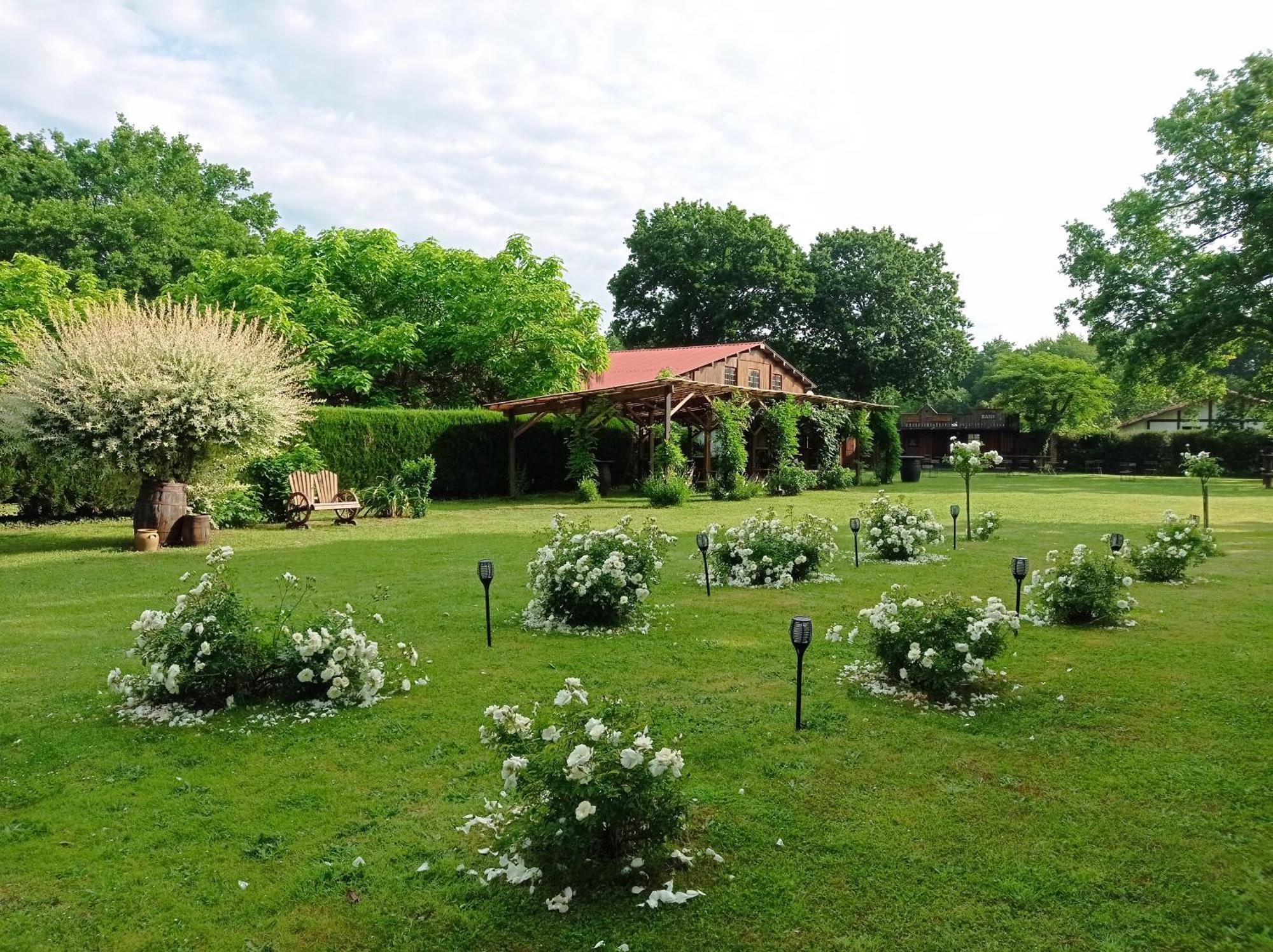Saint-Paul-en-Born Le Ranch Amadeus B&B 외부 사진